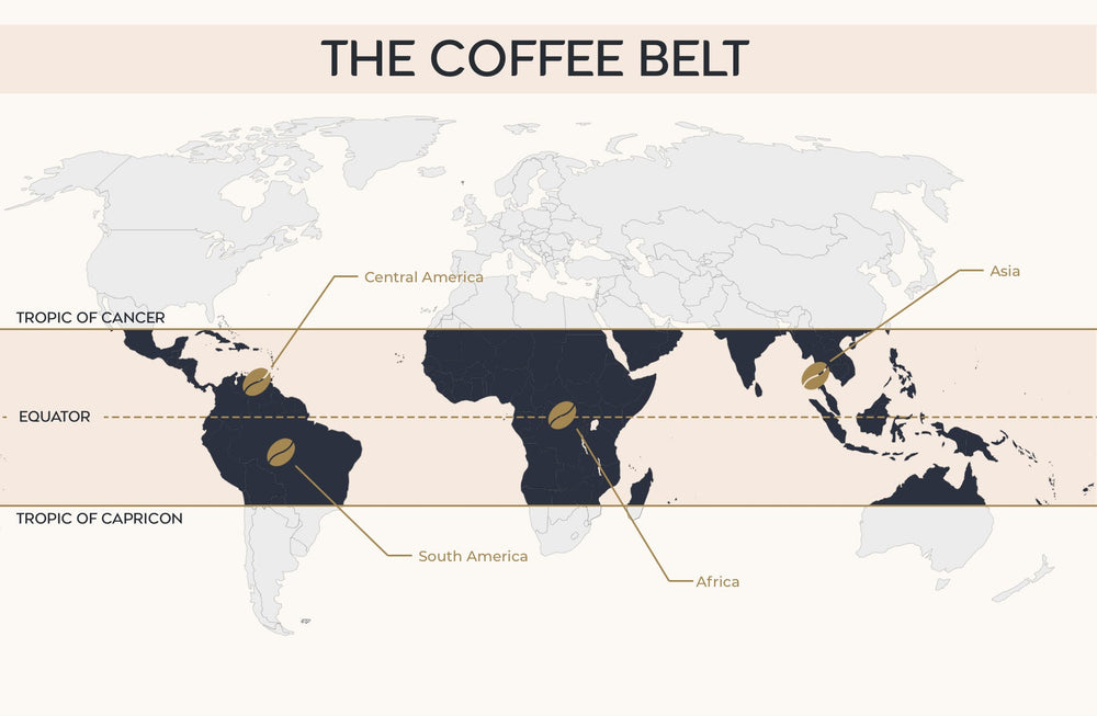 Unlock the Secrets of the Coffee Belt: The Ultimate Guide