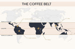 Kiboko Coffee Belt