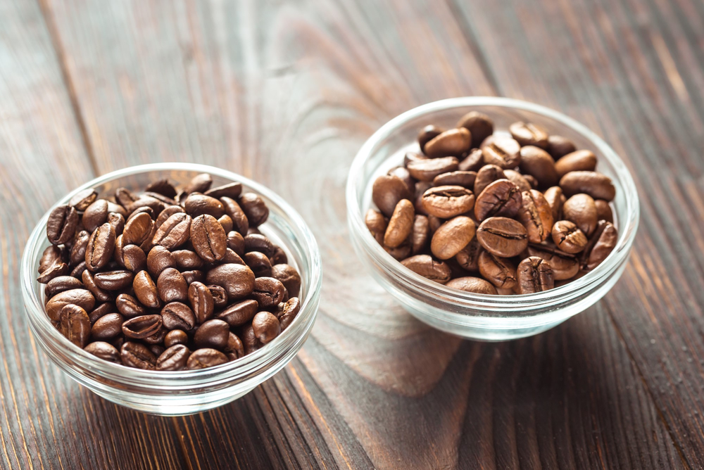 Arabica vs. Robusta: Understanding the Difference Between the Two Coffee Beans