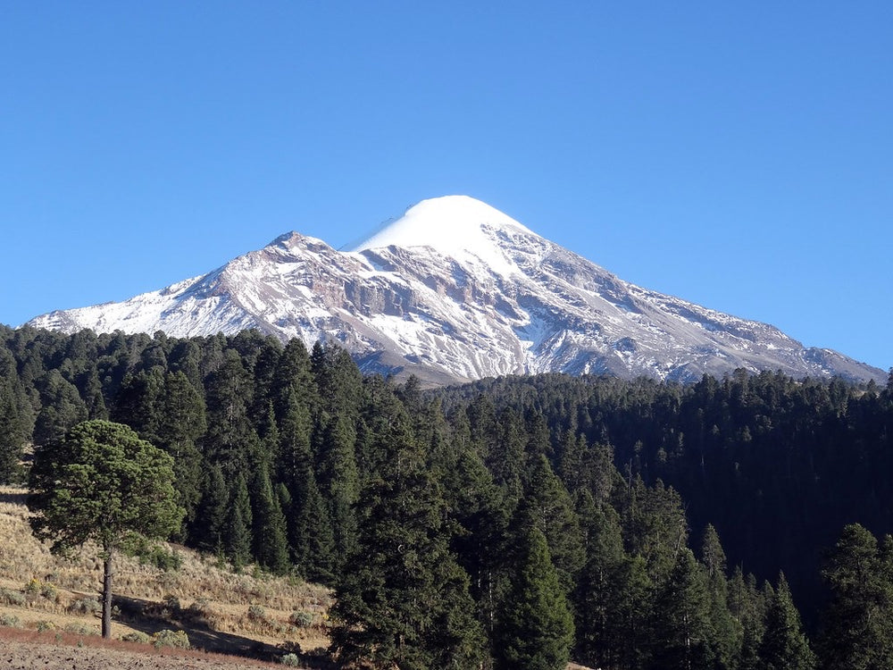 The Mountain Water Process: How We Make our Mexican Coffee Decaf