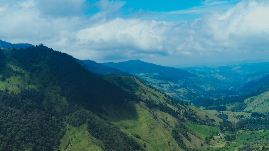 Why Do Coffee Beans From Colombia Taste Nutty?